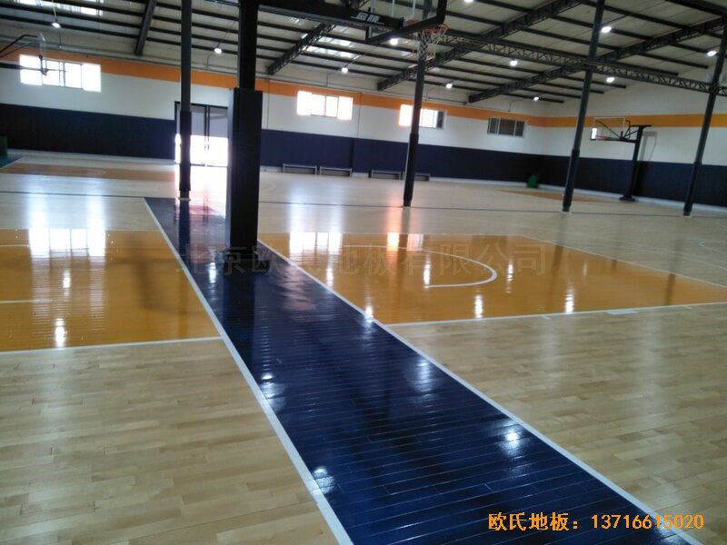 ����game on�@���^�w���ذ尲�b����4
