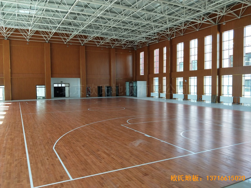 �ຣ�F�Ͽh����������л@���^�w���ذ尲�b����5