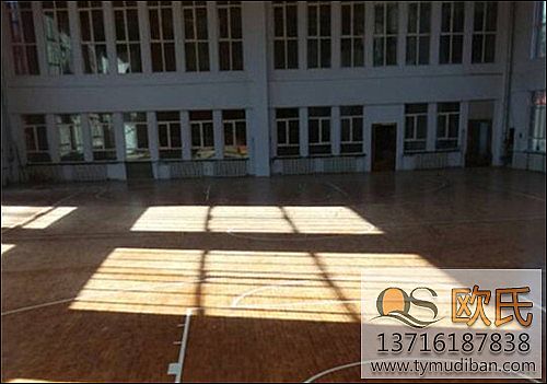 ��(sh��)ľ�\(y��n)��(d��ng)�ذ�ĺ�(ji��n)�ν�B