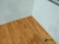 ُ�I��ľ���_(t��i)�w��ľ�ذ�����