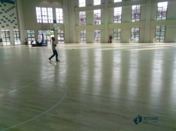 ُ�I���Ռ������_(t��i)�w����(ch��ng)��ľ�ذ��ИI(y��)Ʒ��
