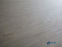 �����w���^�ذ�Ʒ���Ă�(g��)��
